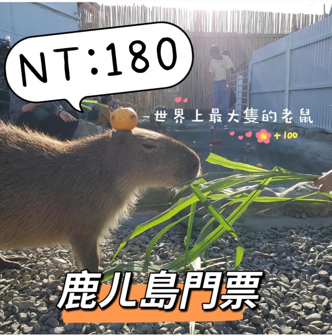 隨緣民宿 Suiian Inn Heng-ch'un Екстериор снимка
